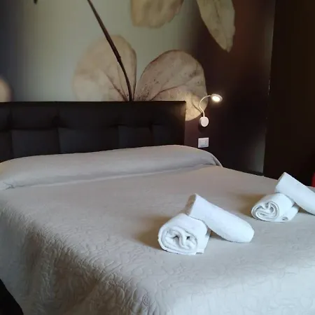 Гостевой дом Cconforthotels 3*